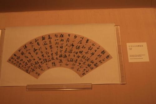 IMG 1995 resize