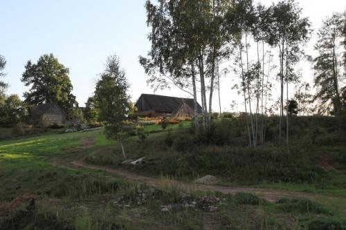 IMG 5761 resize