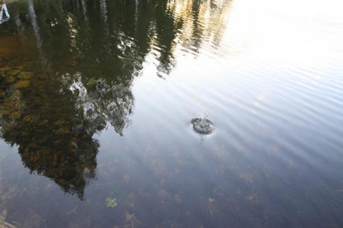 IMG 5813 resize