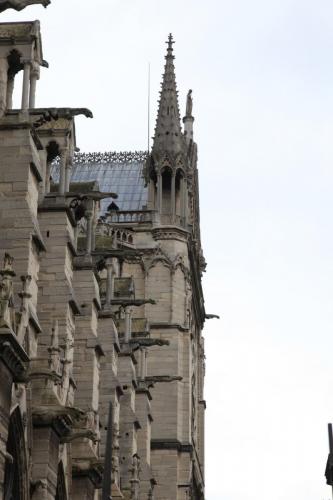 IMG 4125 resize