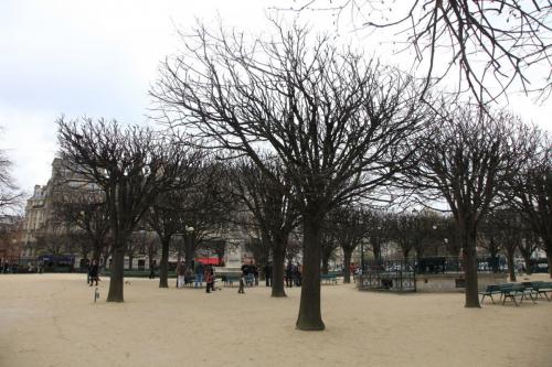 IMG 4160 resize