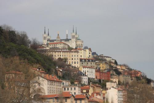 IMG 3210 resize
