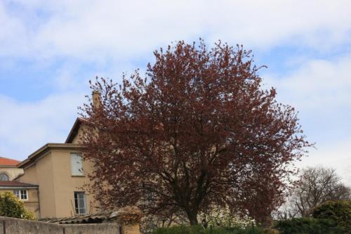IMG 3231 resize