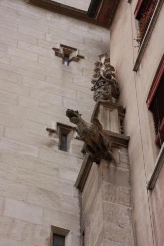 IMG 3329 resize