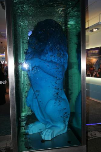 IMG 3357 resize