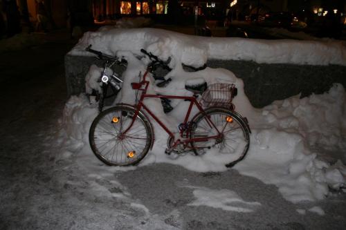 IMG 3375 resize
