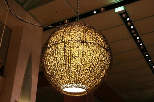 IMG 3896 resize