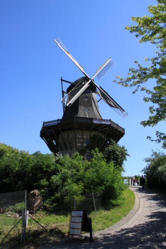 IMG 3889 resize