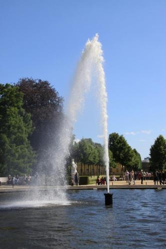 IMG 3980 resize