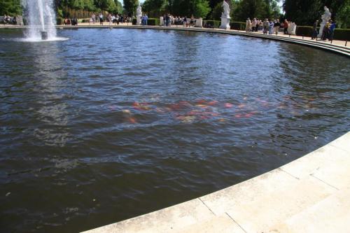 IMG 3981 resize