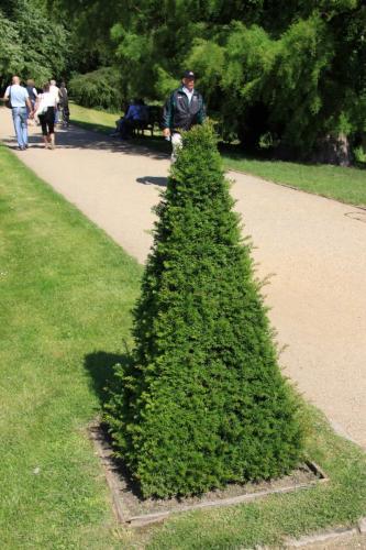 IMG 4009 resize
