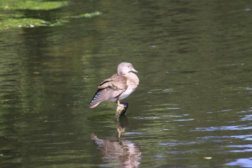 IMG 4027 resize