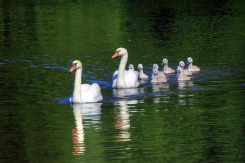 IMG 4037 2 1 3 1 resize