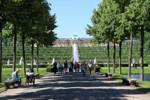 IMG 4070 resize