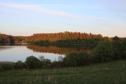 IMG 4455 resize