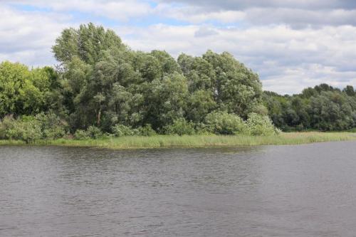 IMG 3645   resize