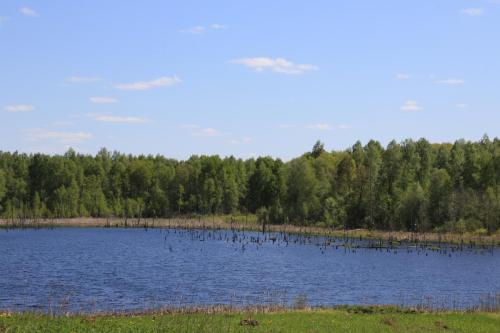 IMG 3520 resize