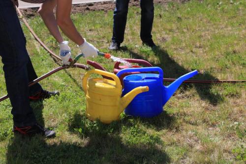 IMG 3541 resize