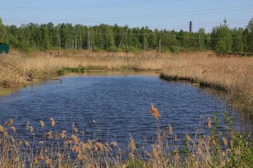 IMG 3559 resize