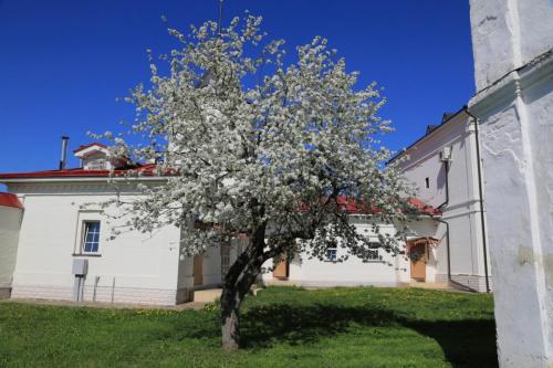IMG 3561 resize