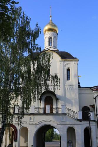 IMG 19323 resize