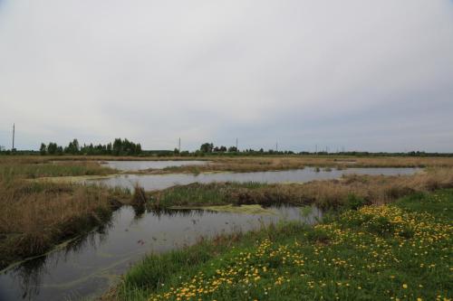 IMG 5925 resize
