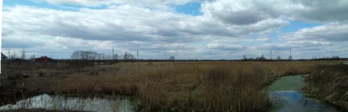 Panorama resize