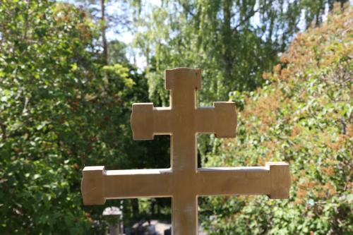 IMG 4406 resize